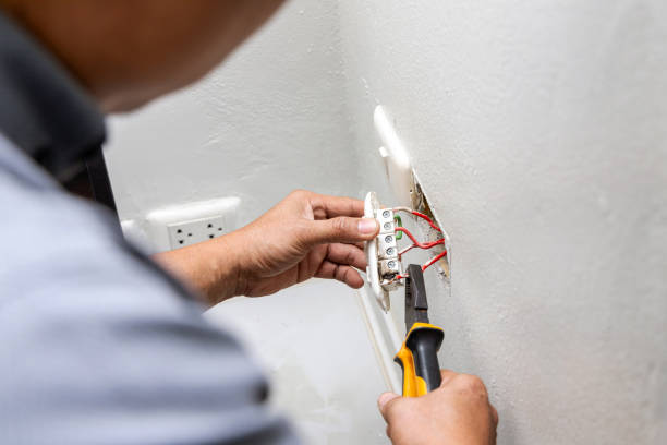 Best Electric Panel Repair  in Schriever, LA